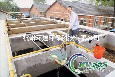 浙江日?qǐng)?bào)報(bào)道的邱建清養(yǎng)豬場(chǎng)廢水處理池養(yǎng)起了紅鯉魚